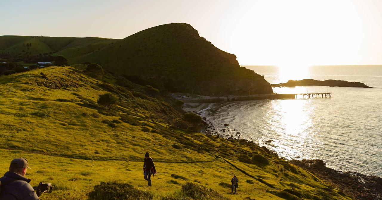 A Taste of South Australia Wild Coast Phone Photography Tour (Fleurieu Peninsula)