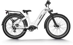 Premium Performance E-Bike Rental (Lectric XPeak or Himiway Zebra)