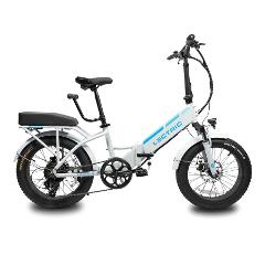 Performance E-Bike Passenger Package (LECTRIC 3.0)