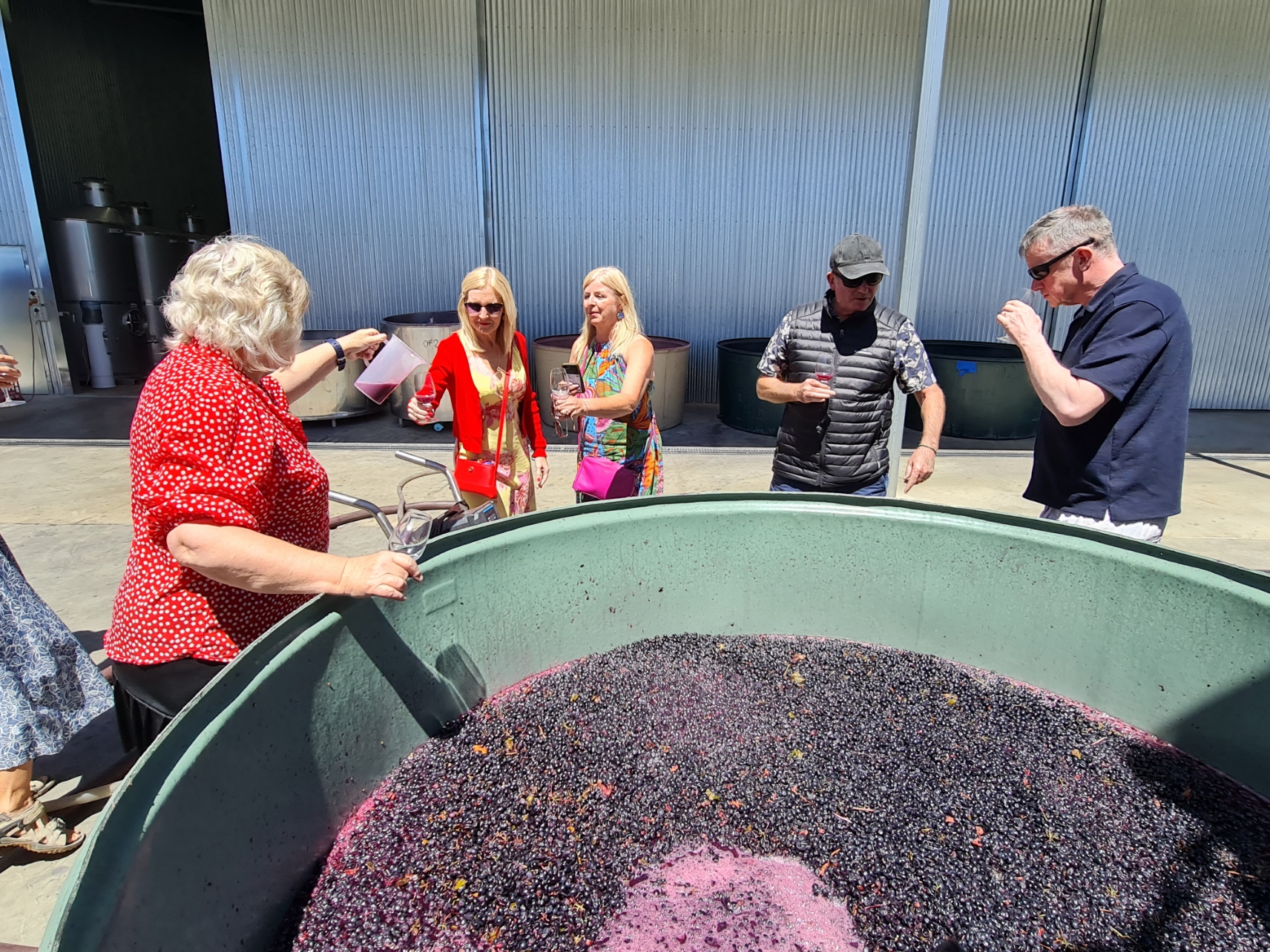 A Barossa Valley Tour for Your Group of Four
