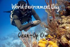 World Environment Day Boat Dive 