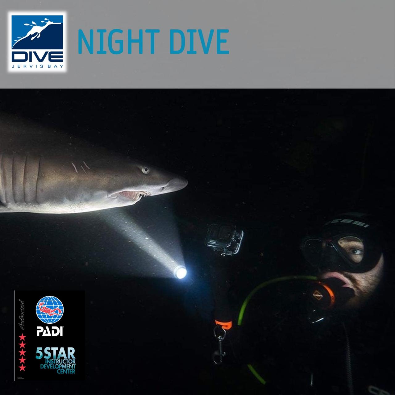 NIGHT DIVE