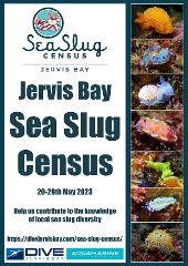 Sea Slug Census