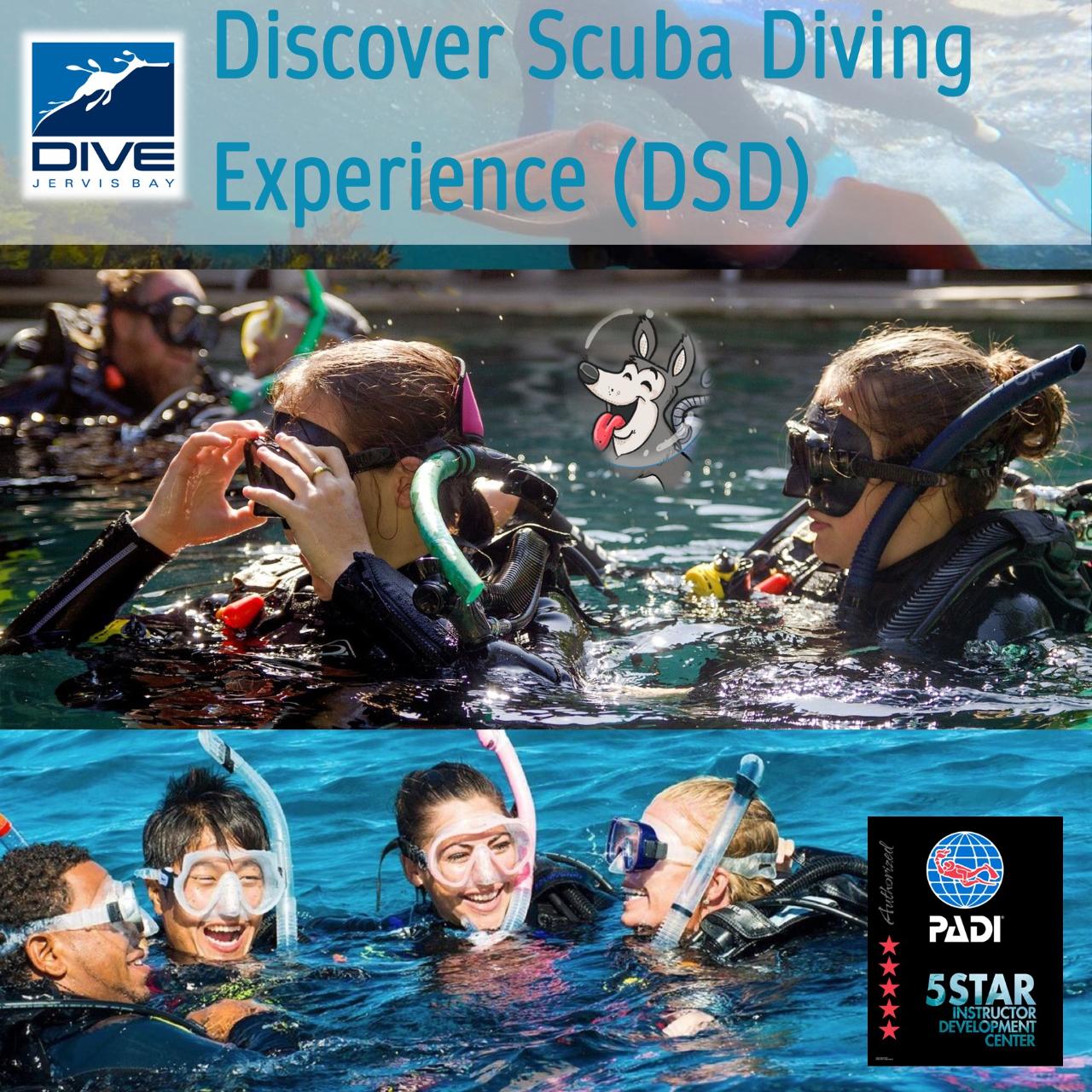 Discover Scuba Dive Experience