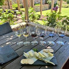 Artisan Wine Tasting & Cheese Pairing