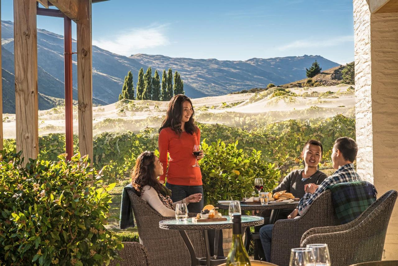 Gibbston Wine Tour