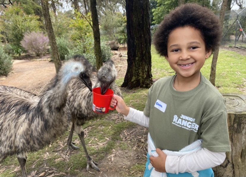 Junior Ranger for a Day