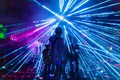 The ENCHANTED Sanctuary