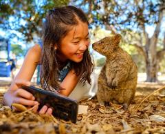 Rottnest Island Premium Explorer Bus Tour (ex Perth)