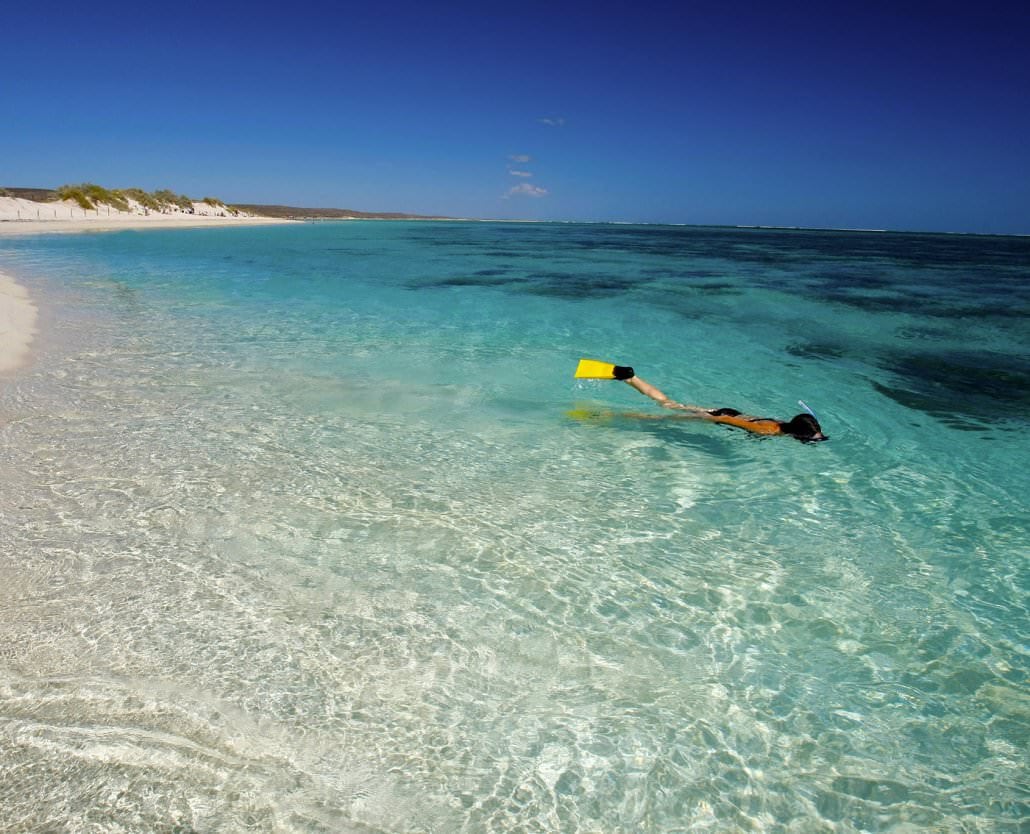 Whale Shark Overland Tour (in French)