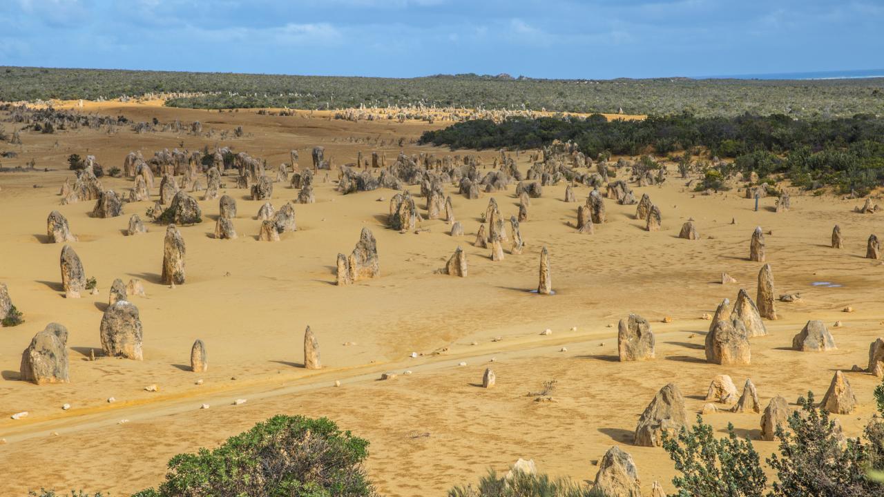 Pinnacles & Rottnest Island Day Air Tour (ex Perth)