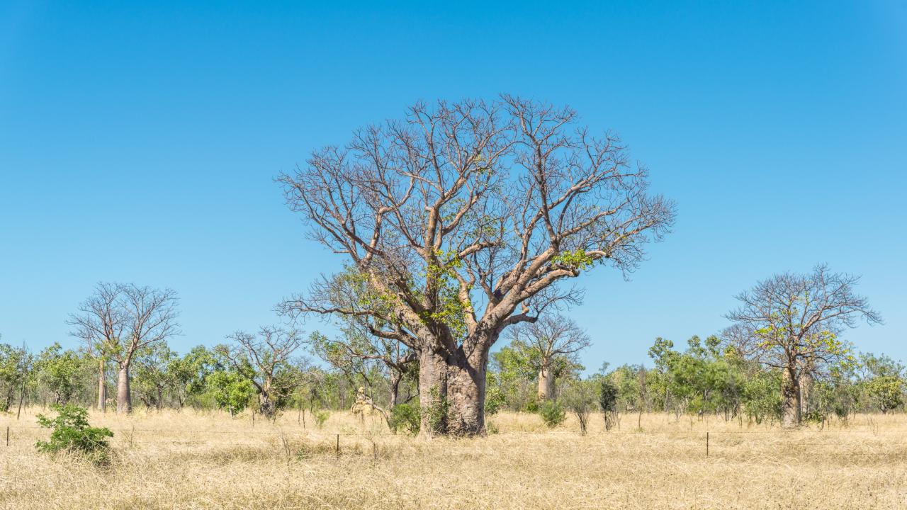 17 Days Kununurra – Perth Tour with 3 UNESCO World Heritage Sites