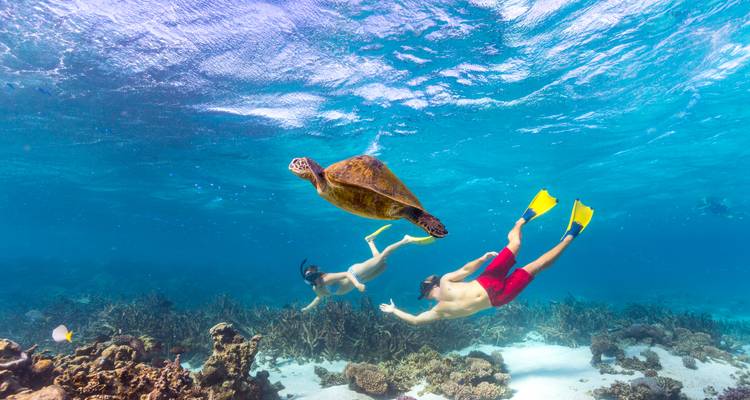 6-Day Coral Coast & Ningaloo Reef Adventure Tour
