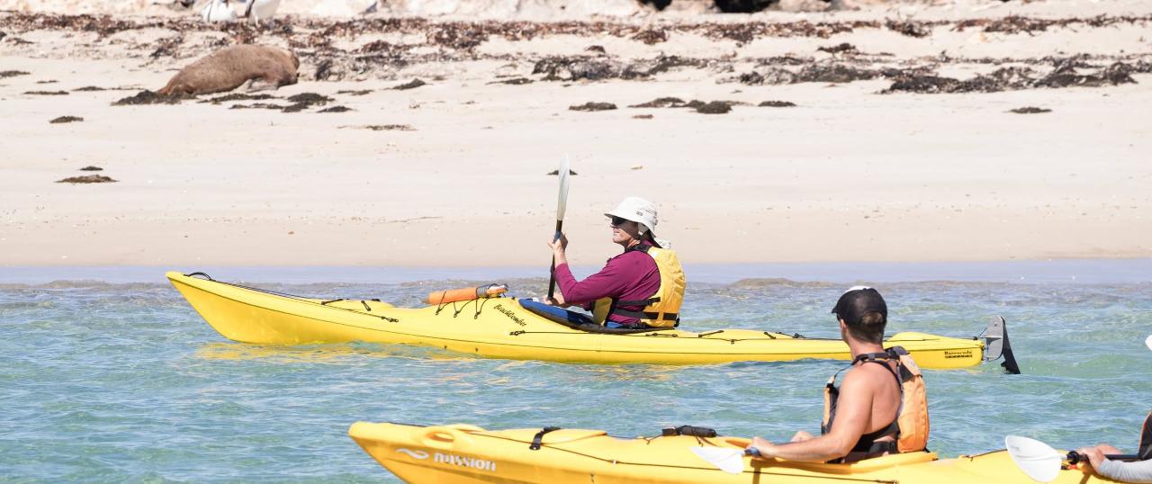 Penguin Island Kayaking Tour (in German) ex Perth