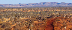 19 Days Perth - Darwin Tour with 4 UNESCO World Heritage Sites