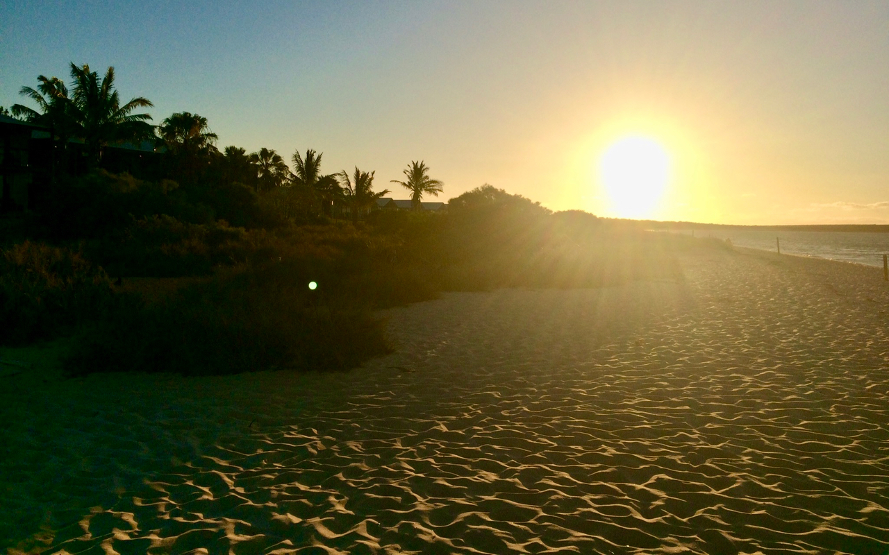 Whale Shark Overland Tour