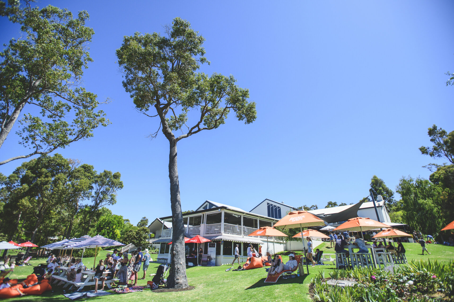 A taste of Margaret River