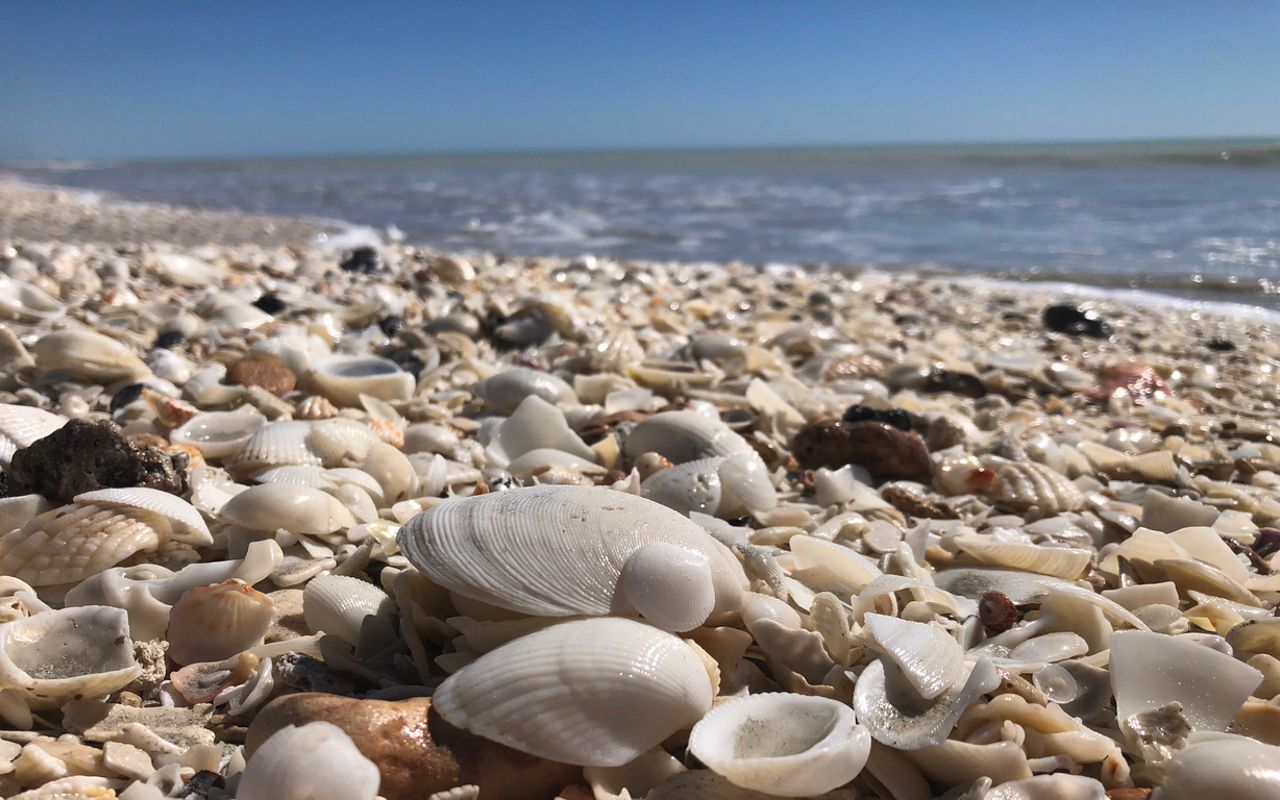 Whale Shark Overland Tour