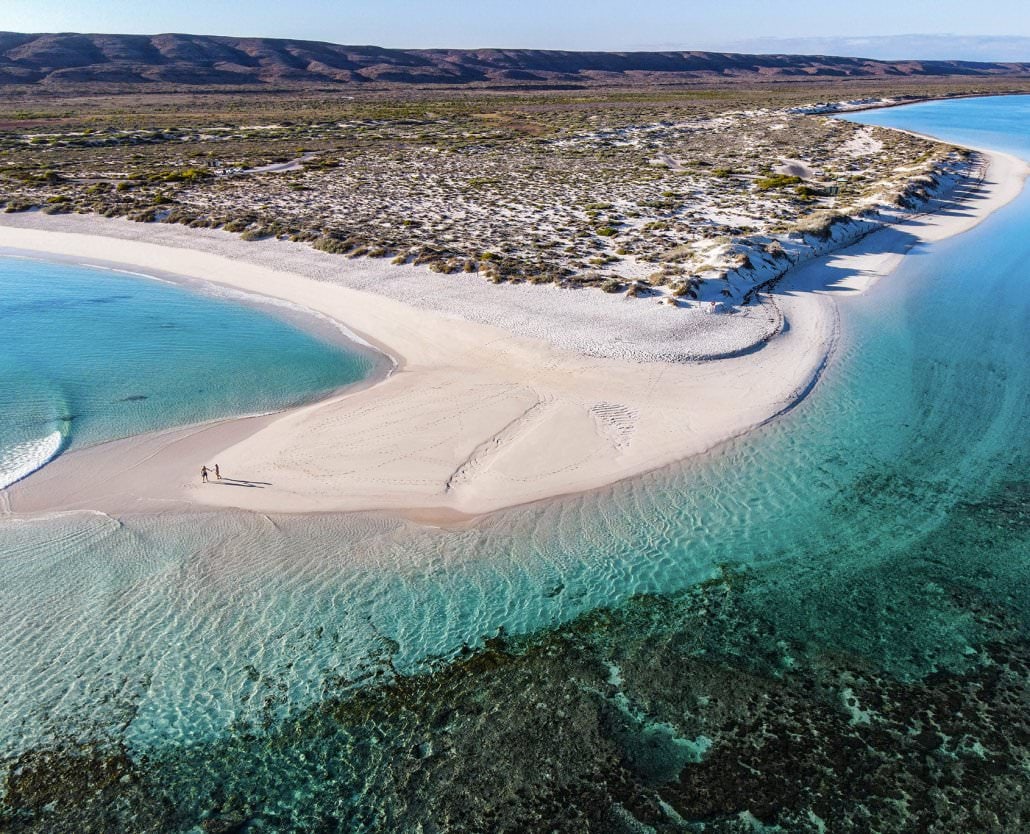 Whale Shark Overland Tour (in French)
