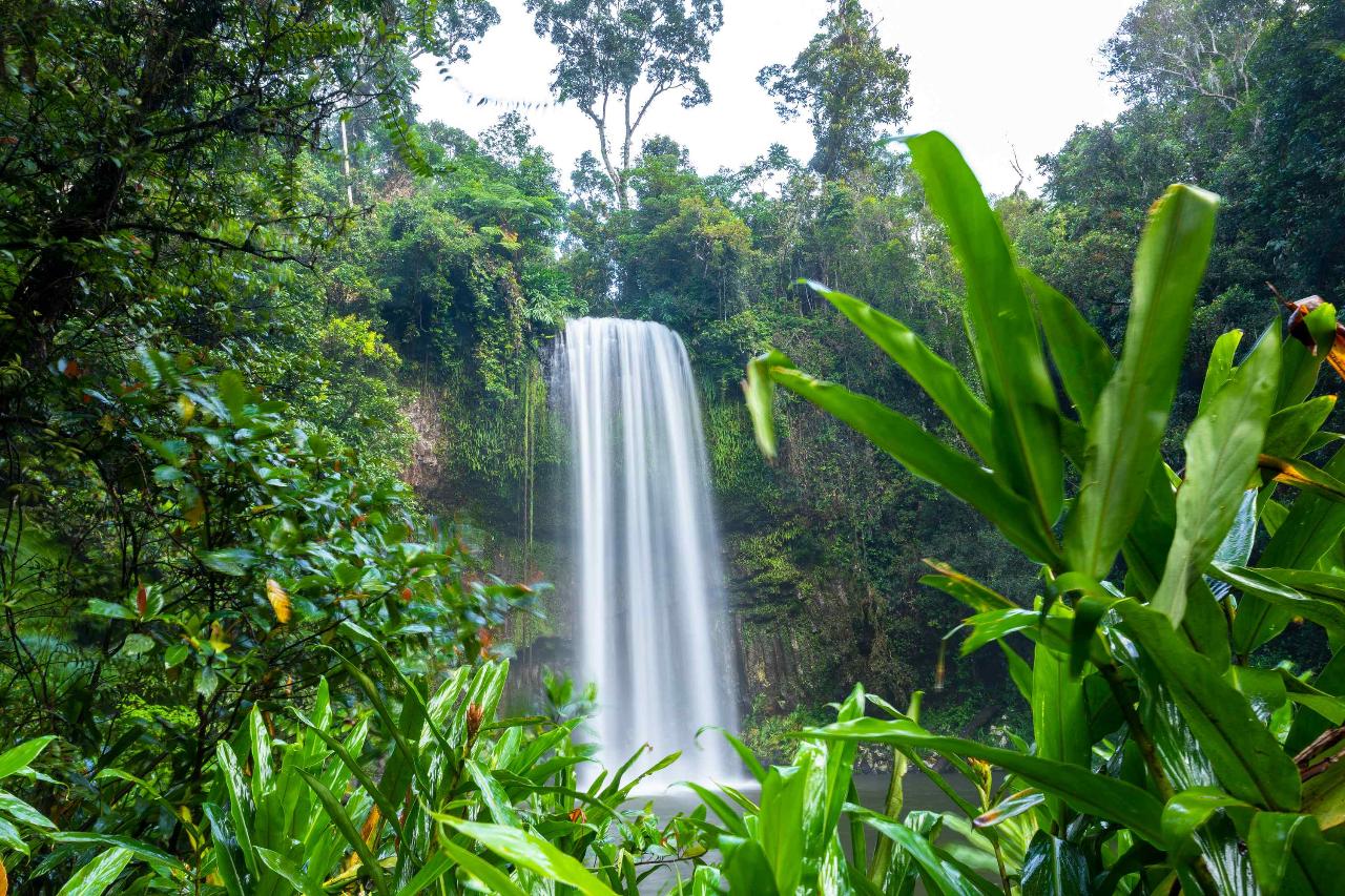 5 Day Tablelands Tour