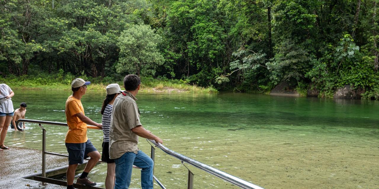 5 Day Best of FNQ Private Tour
