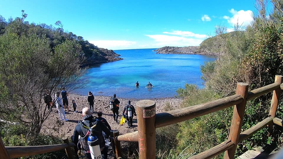 Bushrangers Bay Dive