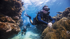 Advanced through to Divemaster Package