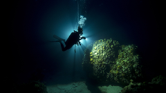  Deep Diver PADI