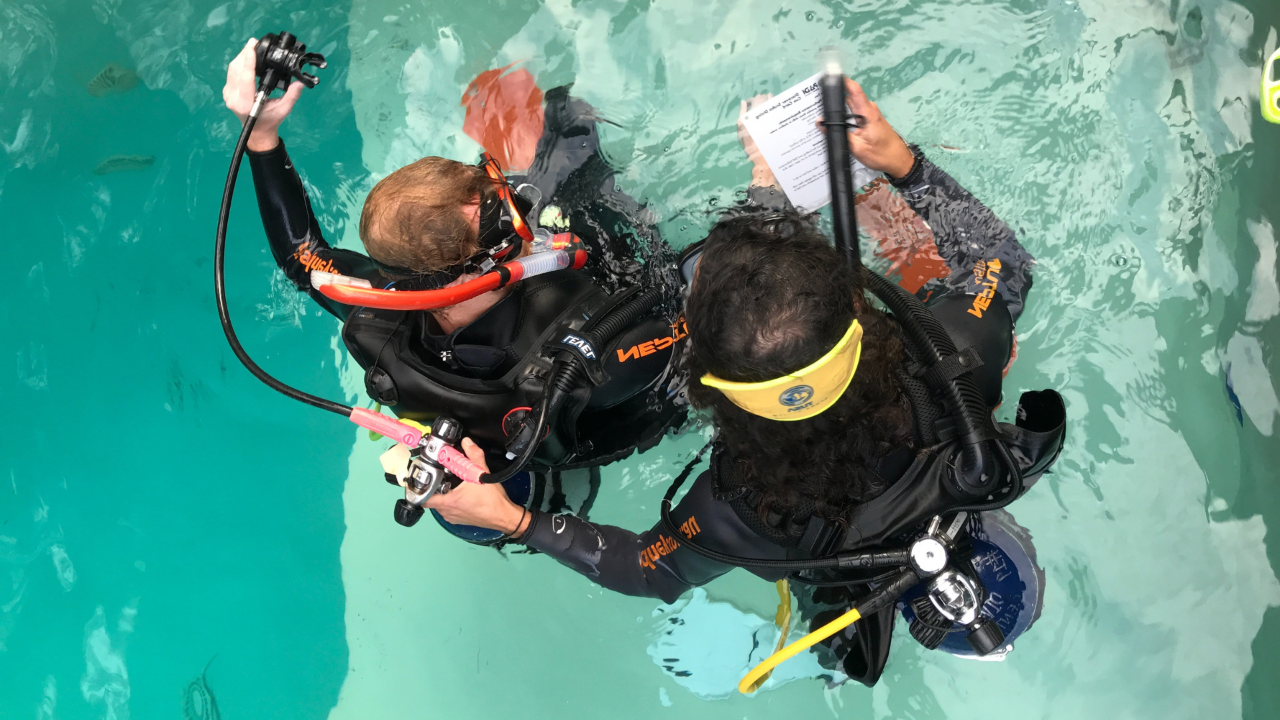 Instructor Development Course - PADI