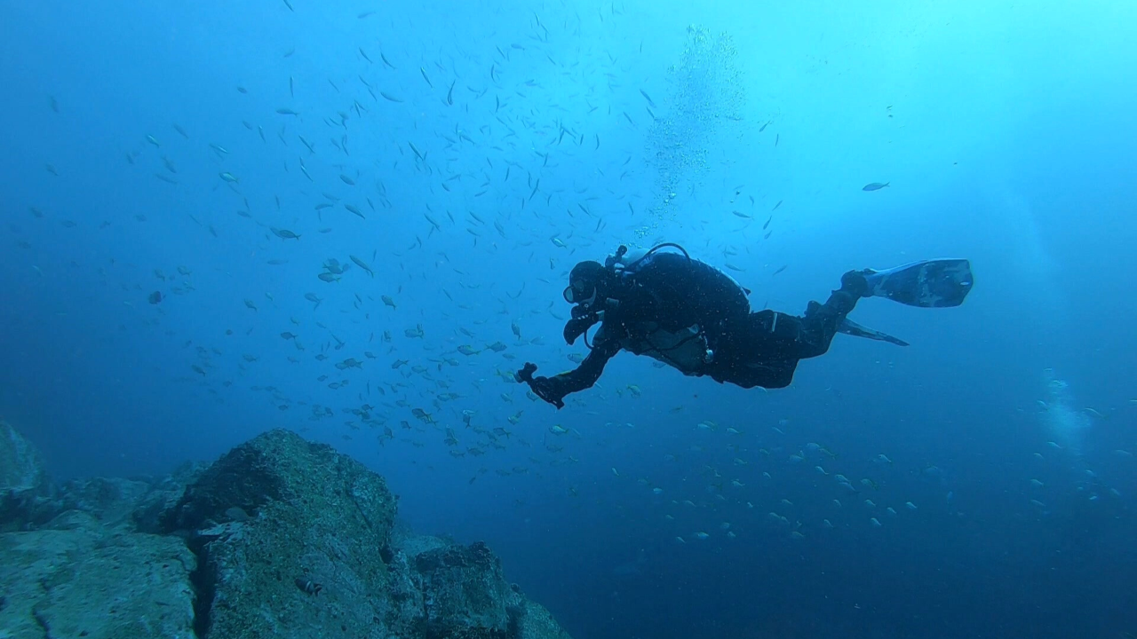 Self Reliant Diver - PADI