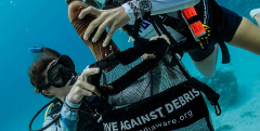 Dive Against Debris