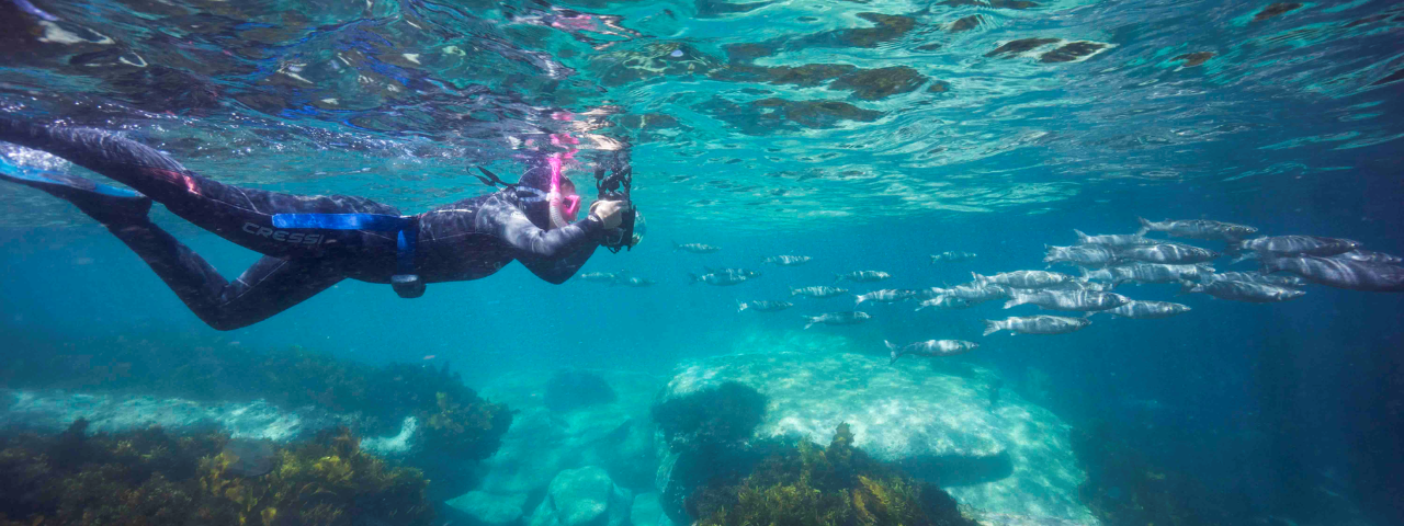 Snorkeling Underwater Photography Workshop
