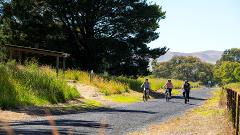 GVRT Shuttle - Mansfield to Benalla