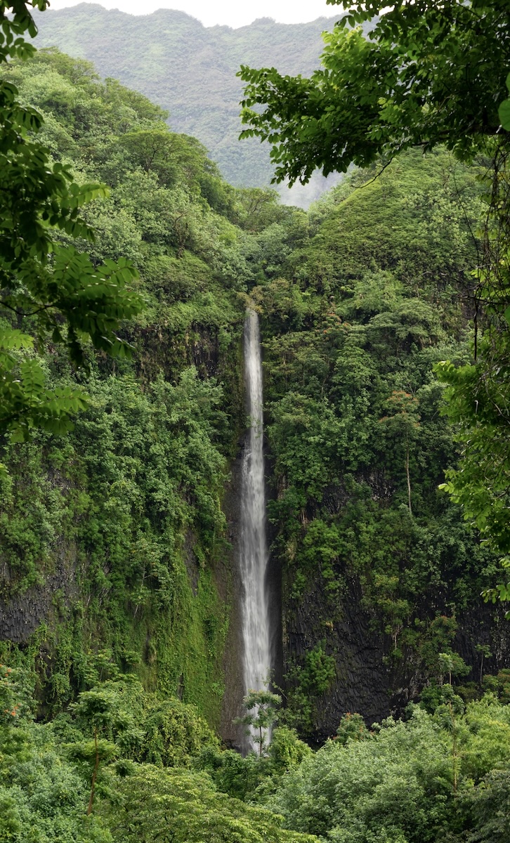 Naturally WILD in Fiji 2027