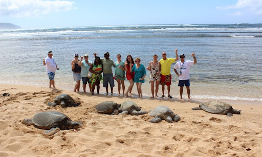 Oahu Ultimate Circle Island Tour