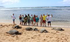 Oahu Ultimate Circle Island Tour