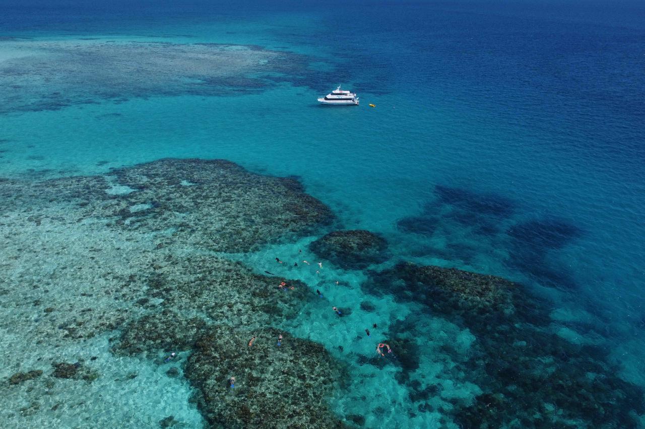 Enjoy Mission Beach | Outer Reef Snorkel & Dunk Island | Cairns Return | 6.30am