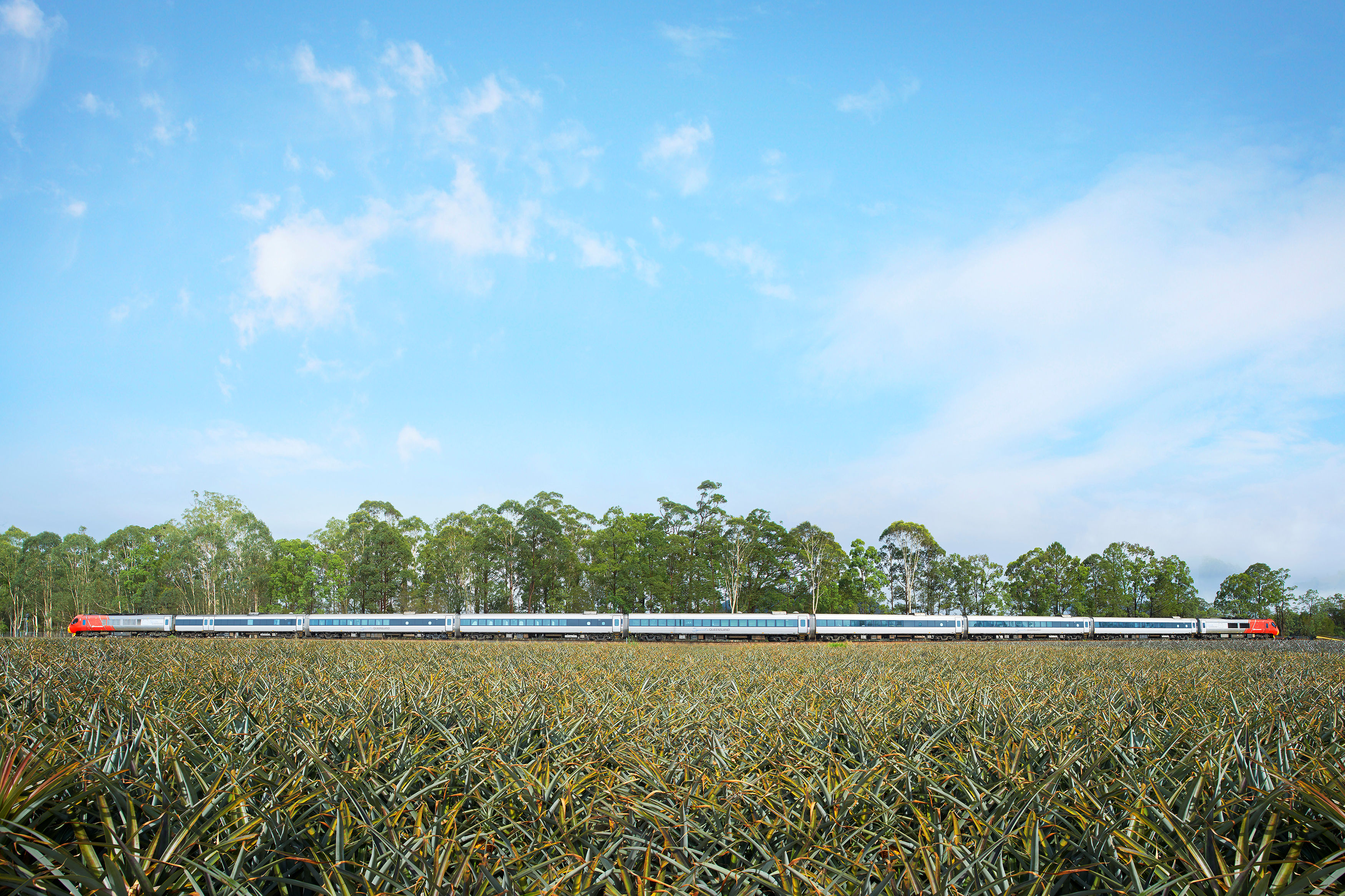 Mission Beach to Tully Railway Station | Accommodation Pick-Up Spirit of Queensland Southbound | One-Way | 12.30pm