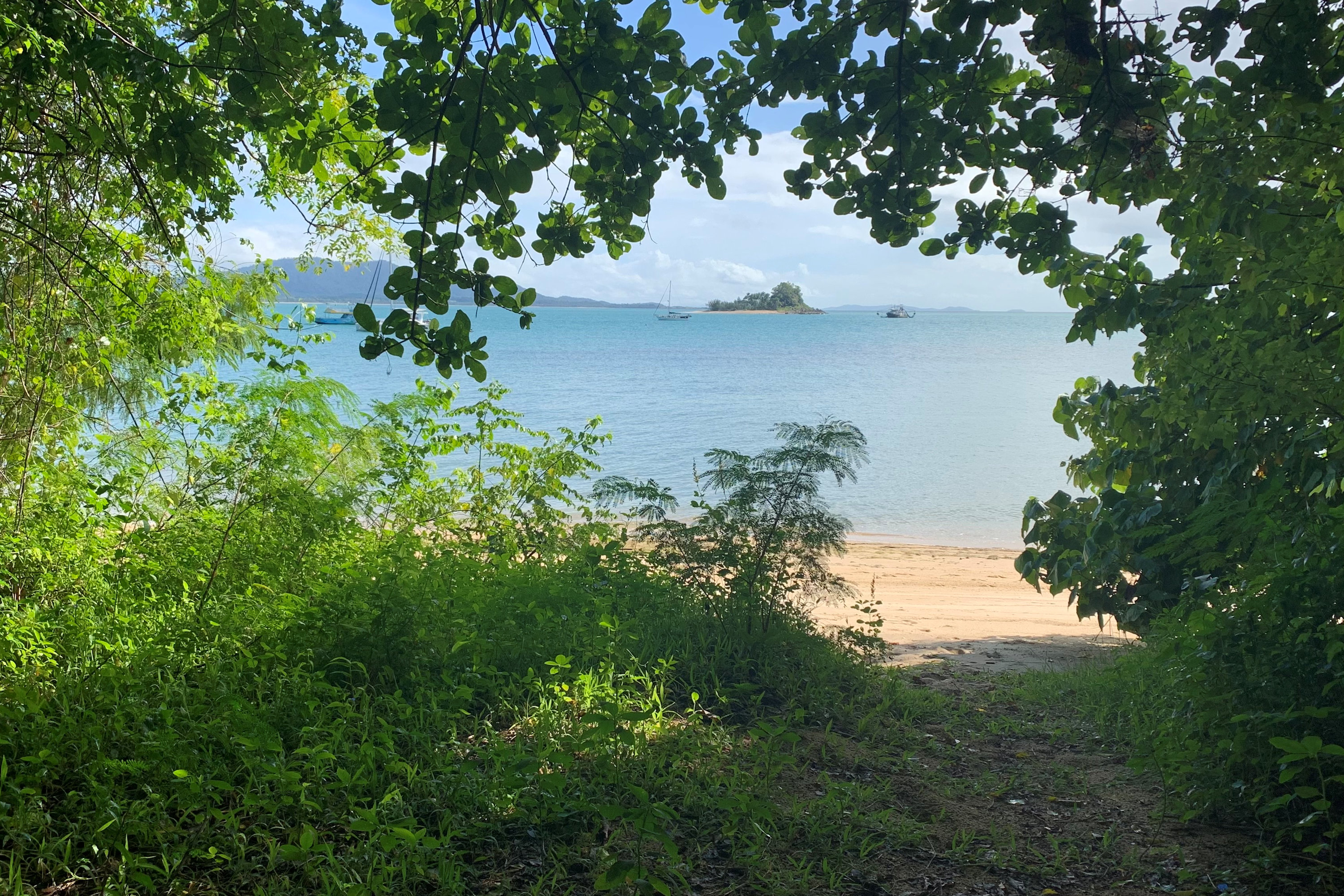 Mission Beach to Townsville | Thursday | Southbound Hinchinbrook Coast | One-Way | 09.00am