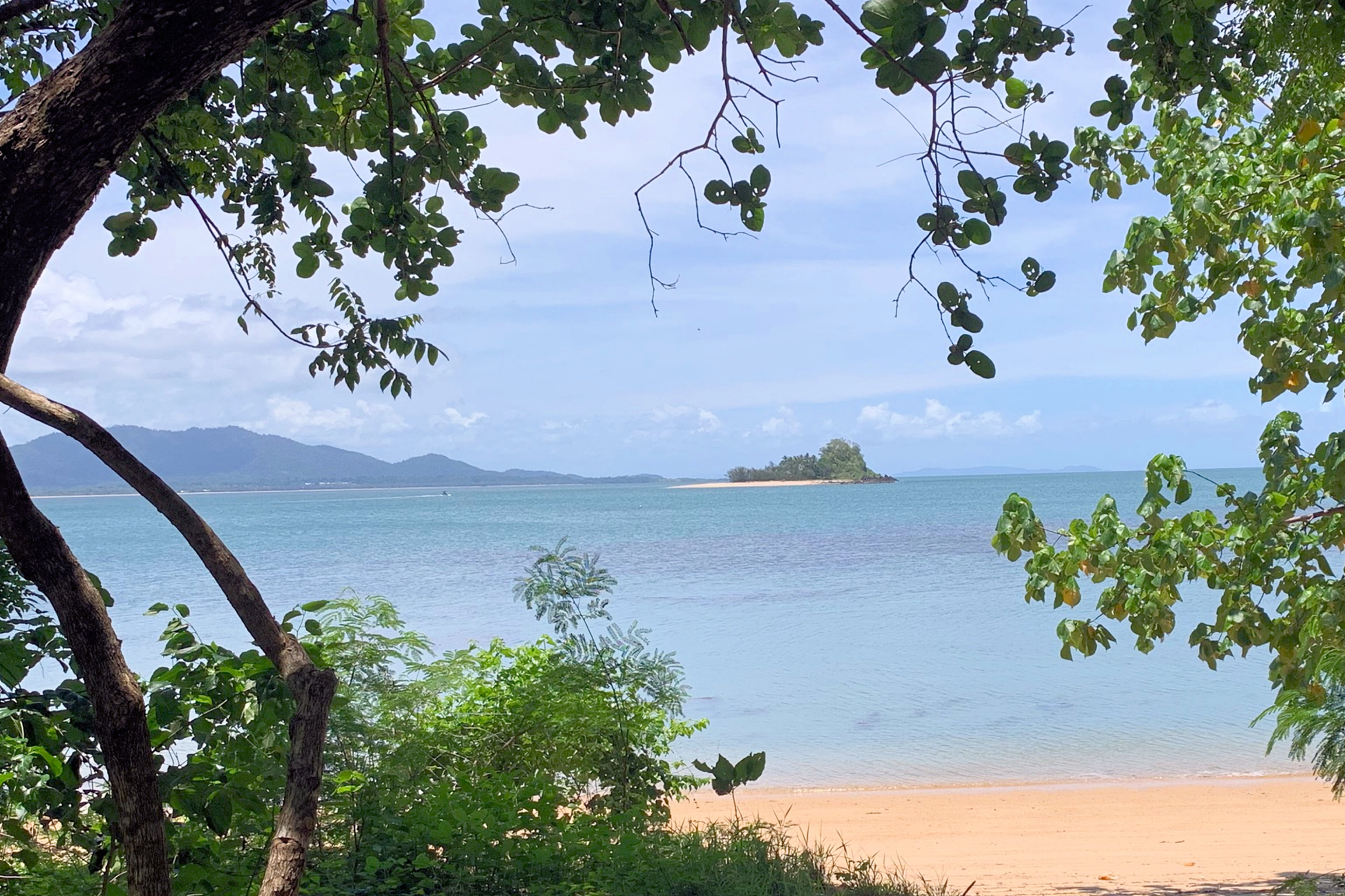 Cairns to Mission Beach | Southbound Cassowary Coast | One Way | 08.45am