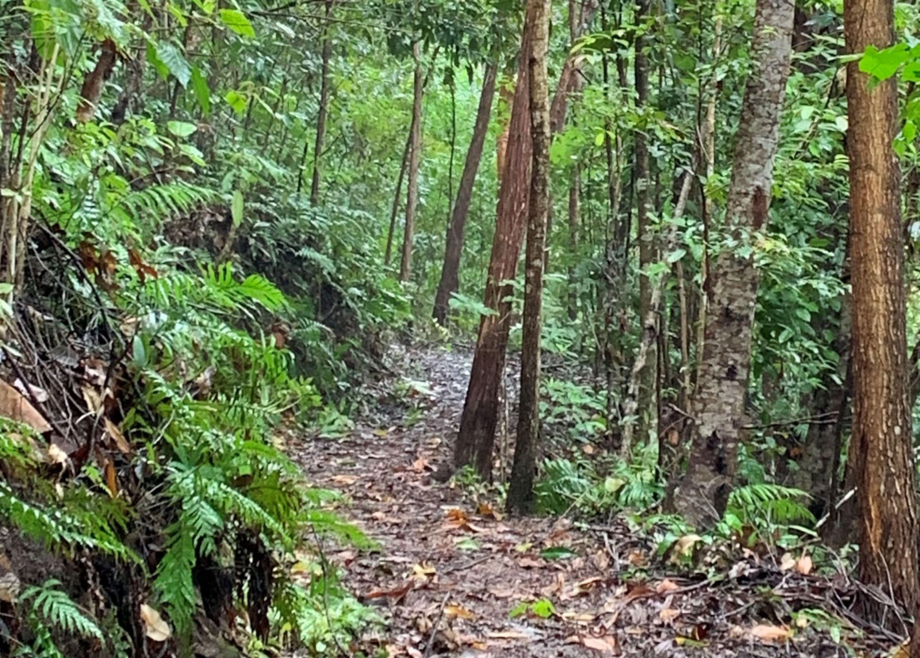 Dunk Island Adventures Inclusive | Mission Beach | Day Return | 9.00am