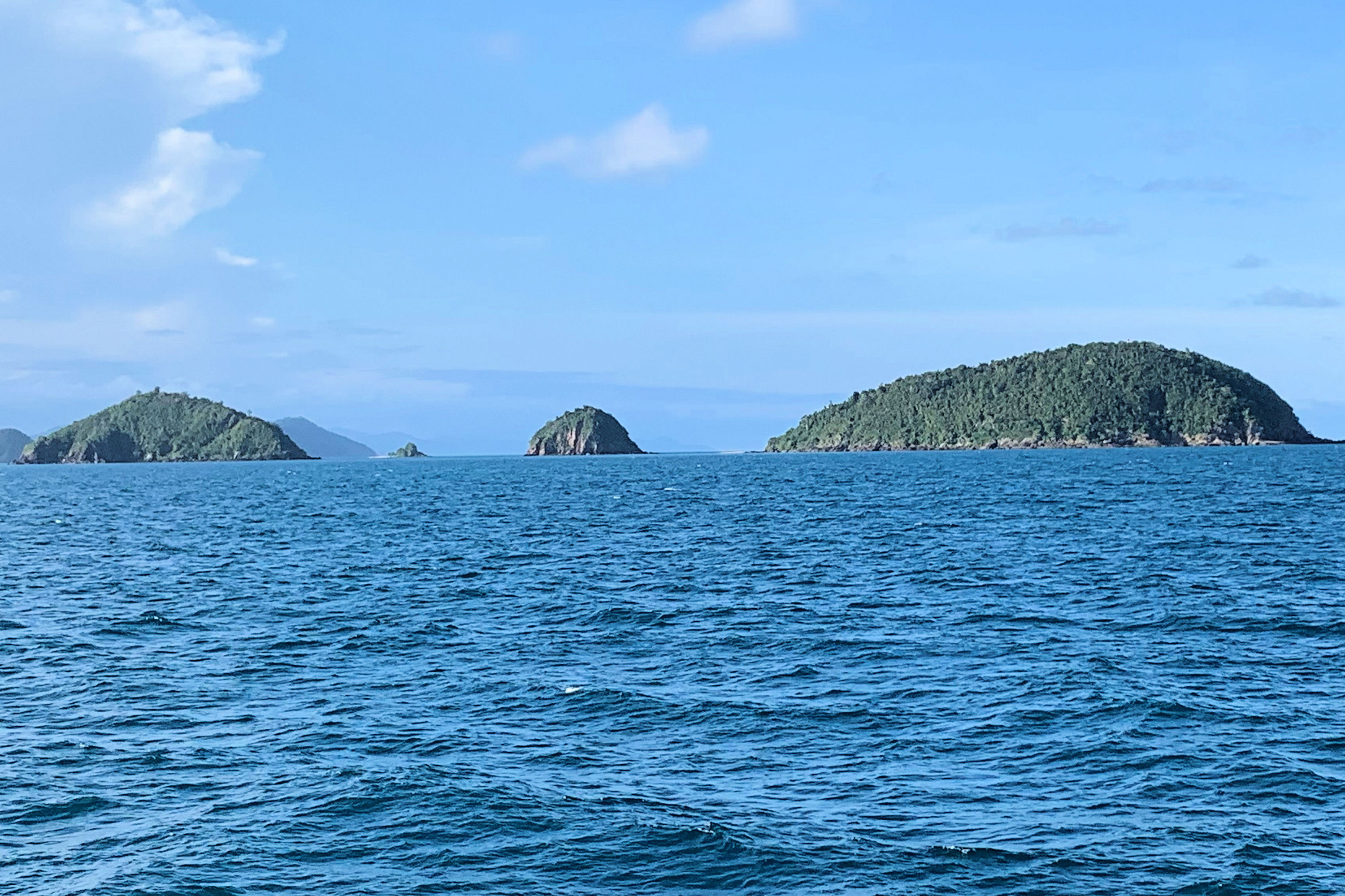 Cairns to Mission Beach | Southbound Cassowary Coast | One Way | 08.45am