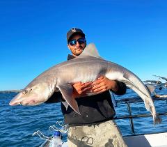 Gummy shark charter 'Individual' (Noosa Cat)