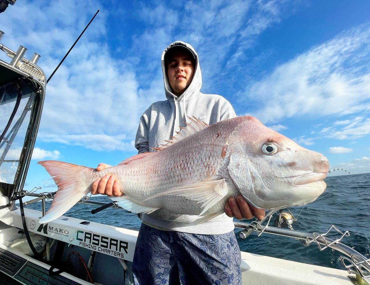 Snapper 'Individual' NoosaCat