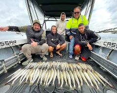 Squid and Whiting (Book the boat)