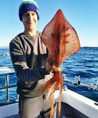 Squid / Whiting (Book the boat) Noosacat