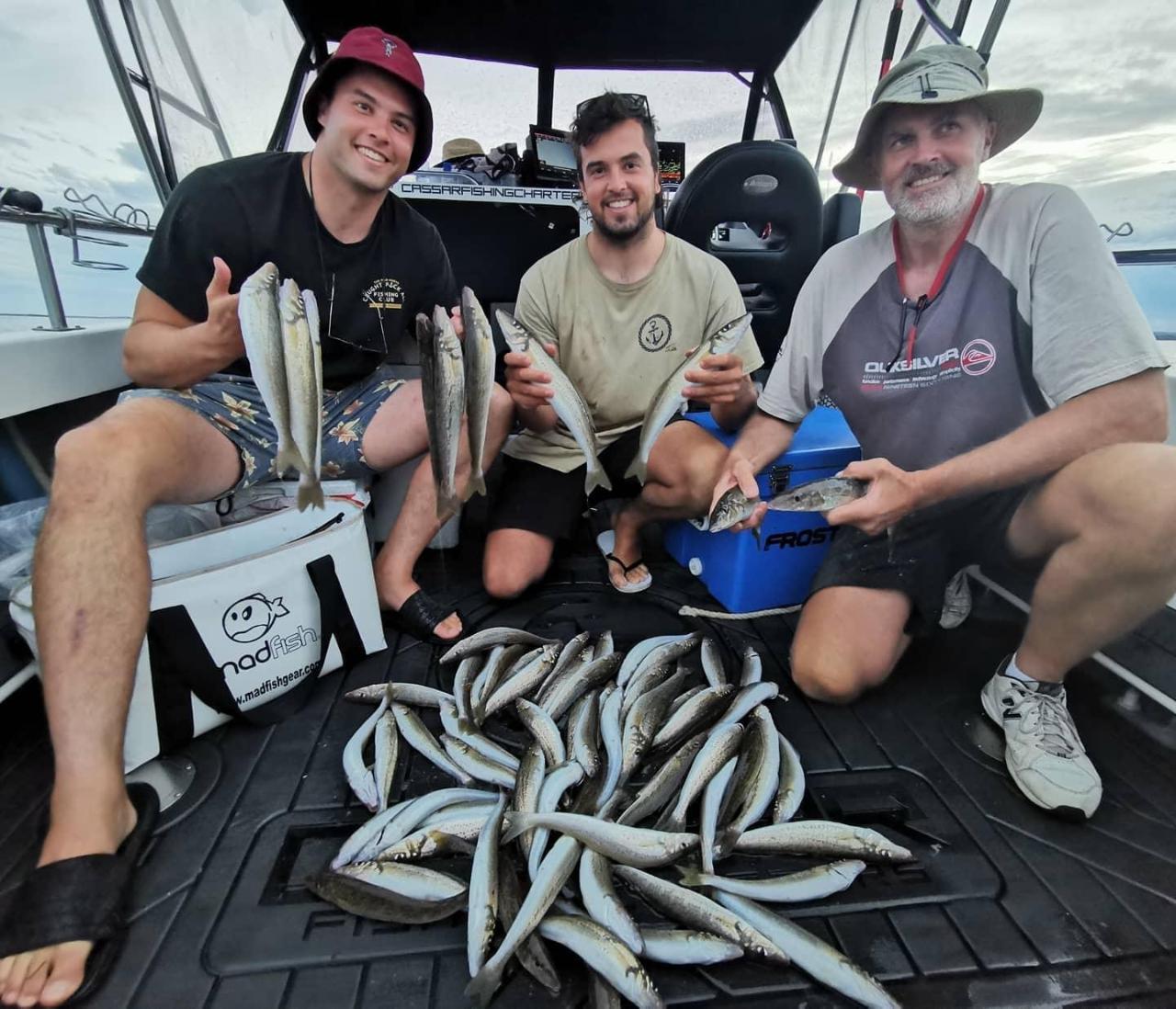 Whiting (Book the boat) - Cassar Fishing Charters Reservations