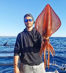 Squid & Whiting - Individual Booking