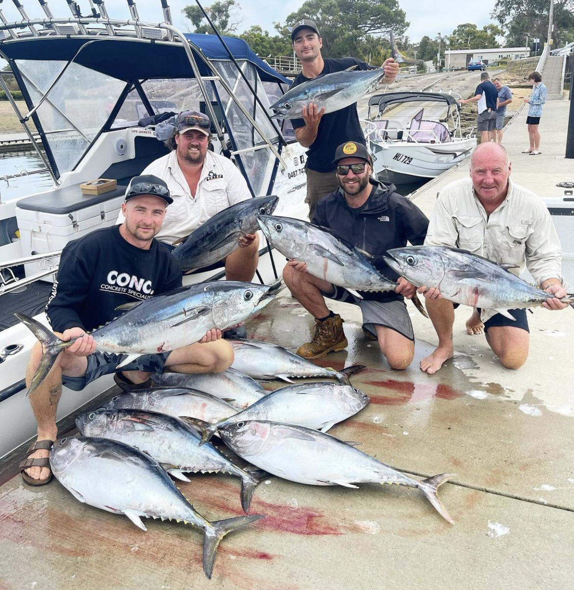 Local Bluefin Tuna Individual (Noosa Cat) - Cassar Fishing Charters ...