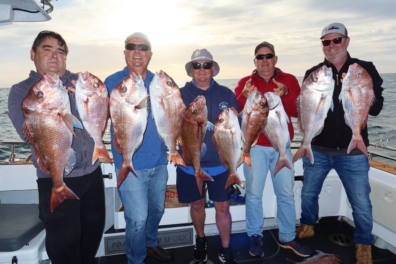 Snapper ‘book the boat' NoosaCat